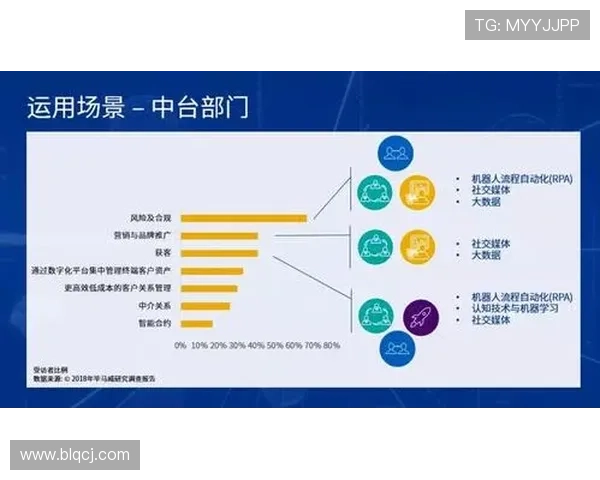 北京篮球队转型之路探索新机遇与挑战的深度分析与展望 北京篮球队转型之路探索新机遇与挑战的深度分析与展望
