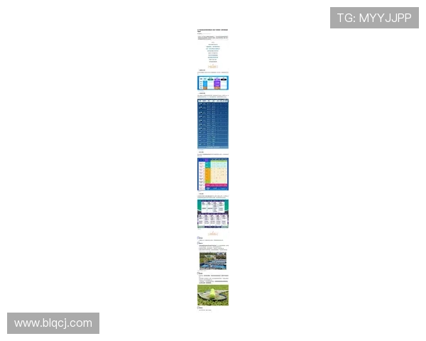上海网球队引领最新网球意识TOP10榜单,实力与智慧并存