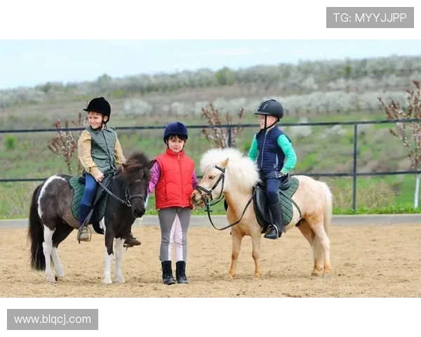 足球明星矮脚马的魅力与风采揭秘及其在球场上的独特表现 足球明星矮脚马的魅力与风采揭秘及其在球场上的独特表现